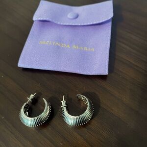 Thick Ass Hoops- Melinda Maria